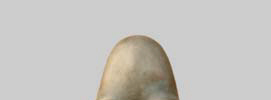 Sotto Voce